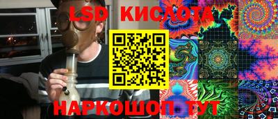 прущие грибы Краснознаменск