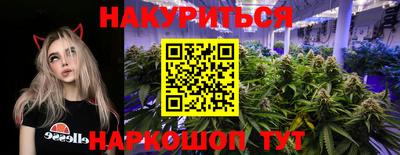 прущие грибы Краснознаменск